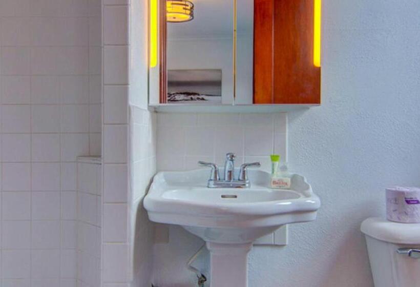 スタンダードルーム, The Bristol