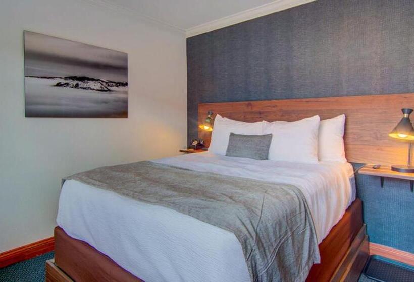 スタンダードルーム, The Bristol