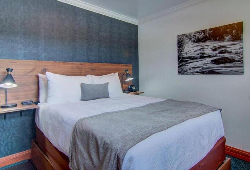 スタンダードルーム, The Bristol