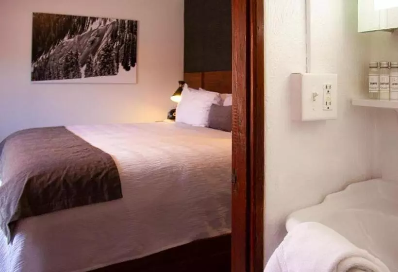 اتاق استاندارد با تخت بزرگ, The Bristol
