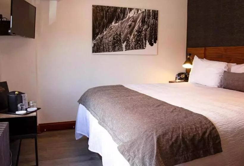 اتاق استاندارد با تخت بزرگ, The Bristol