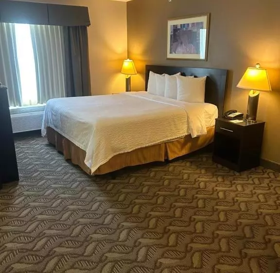 اتاق استاندارد با تخت بزرگ, Wyndham Garden Madison Fitchburg
