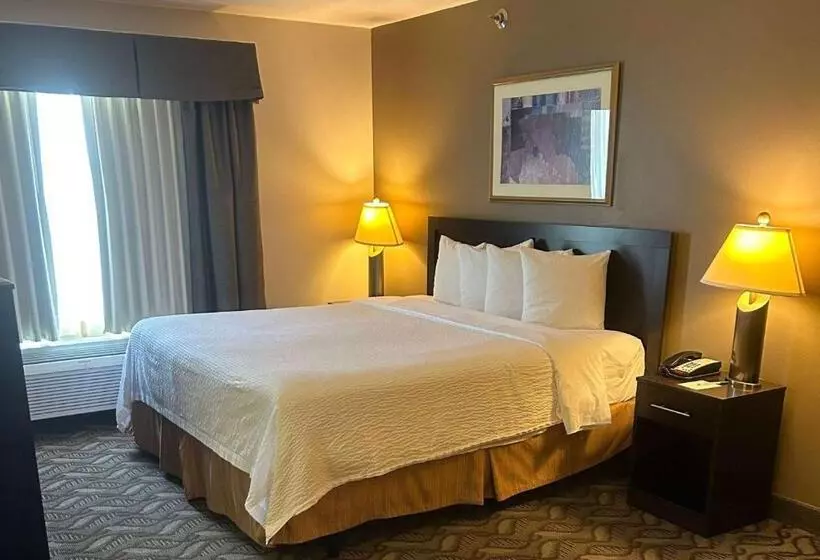 اتاق استاندارد با تخت بزرگ, Wyndham Garden Madison Fitchburg