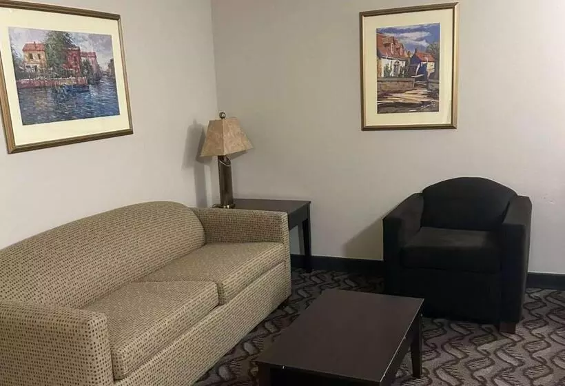 اتاق استاندارد با تخت بزرگ برای معلولان, Wyndham Garden Madison Fitchburg