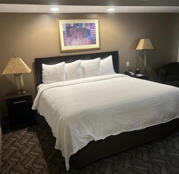 מיטת קינג בסוויטה, Wyndham Garden Madison Fitchburg