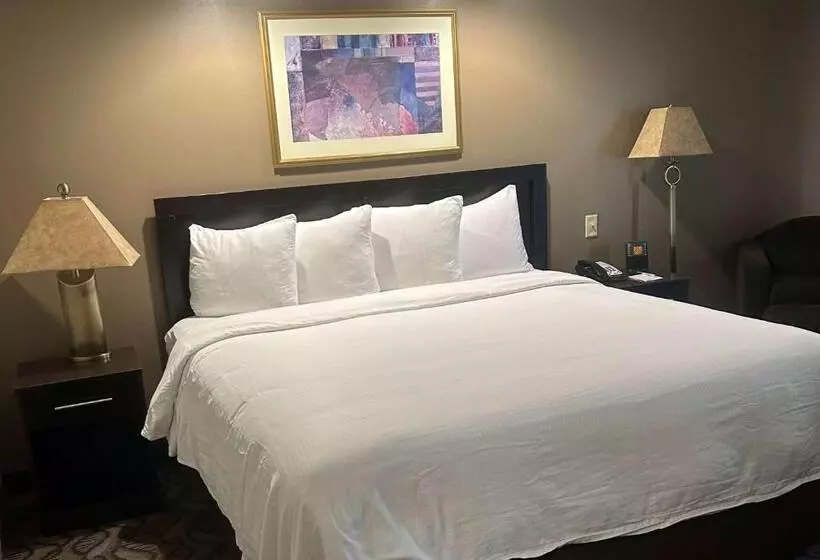 سوئیت با تخت بزرگ, Wyndham Garden Madison Fitchburg