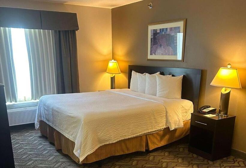 חדר סטנדרט מותאם לאדם עם מוגבלויות, Wyndham Garden Madison Fitchburg