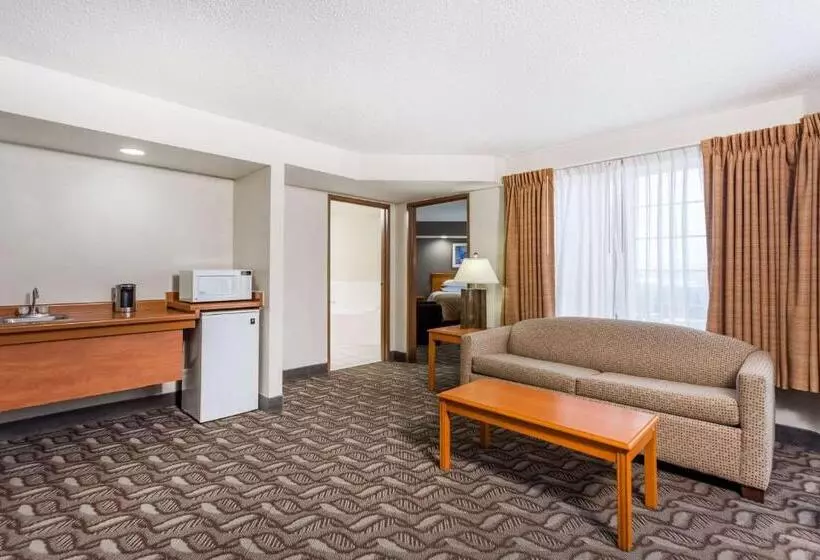 سوئیت اجرایی با تخت کینگ, Wyndham Garden Madison Fitchburg