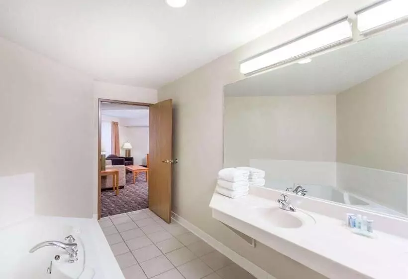 سوئیت اجرایی با تخت کینگ, Wyndham Garden Madison Fitchburg