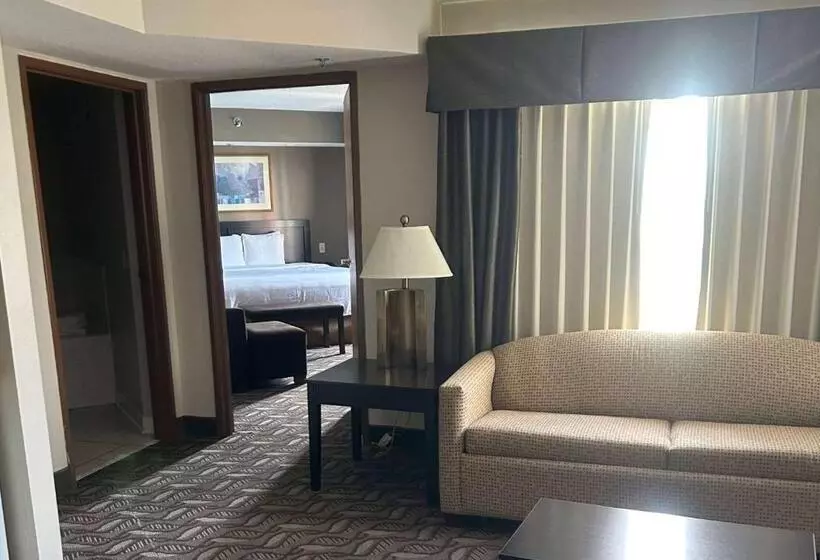 سوئیت اجرایی با تخت کینگ, Wyndham Garden Madison Fitchburg