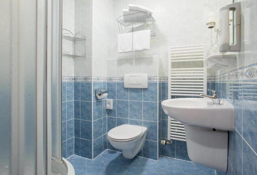 اتاق استاندارد یک نفره, Wellness Hotel Step   Czech Leading Hotels