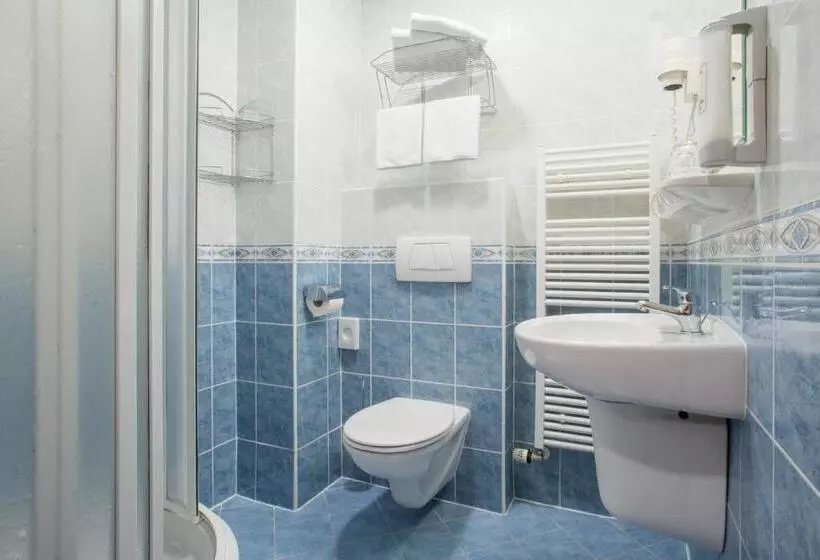 اتاق استاندارد یک نفره, Wellness Hotel Step