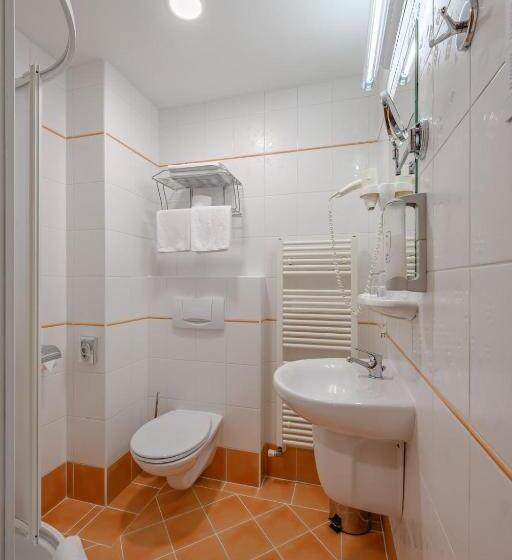 اتاق اکونومی, Wellness Hotel Step