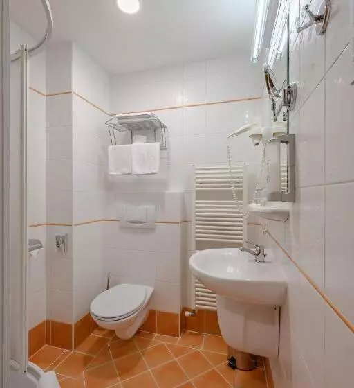 اتاق اکونومی, Wellness Hotel Step