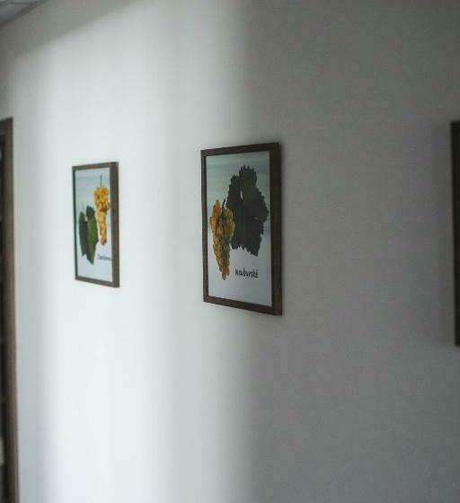 Camera Standard, Apartmány Pemag Mikulov