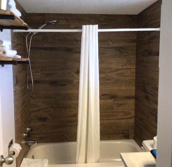 חדר דחוקס עם מיטת קינג, Christina Lake Motel And Rv Park