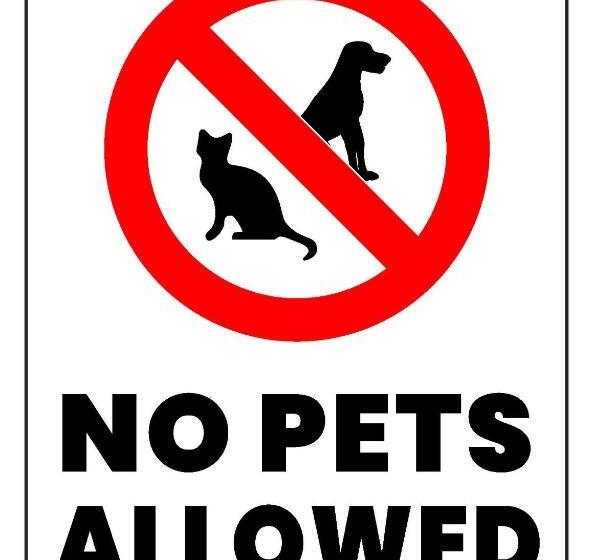 غرفة قياسية, Christina Lake Motel And Rv Park