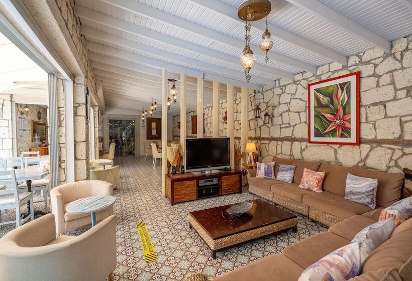 Camera Deluxe, Deruni Ilıca