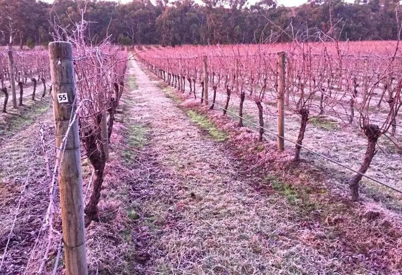 ツーベッドルーム ヴィラ, Valley Farm Vineyard Villas