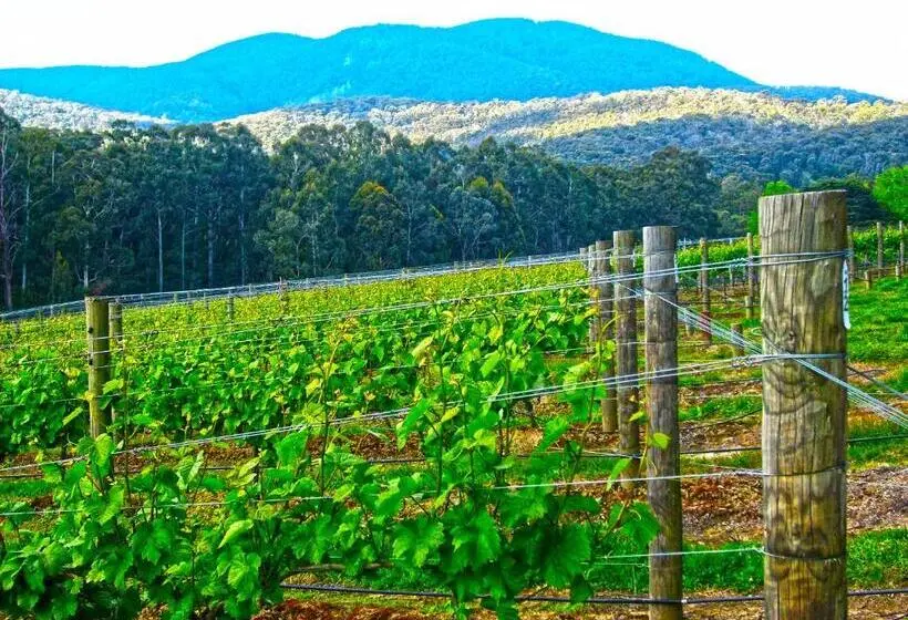 ビラホテル1ベッドルーム, Valley Farm Vineyard Villas