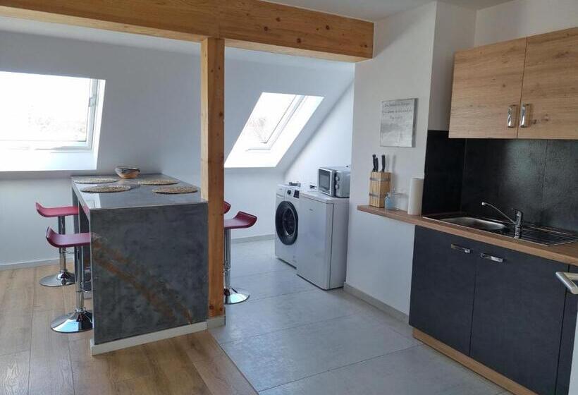 Апартаменты 2 Спальни, A&f Hotel Chemnitz