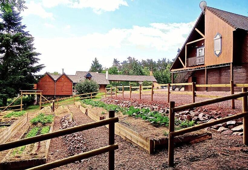 스탠다드 트리플 룸, Du Côté De Chez Sam