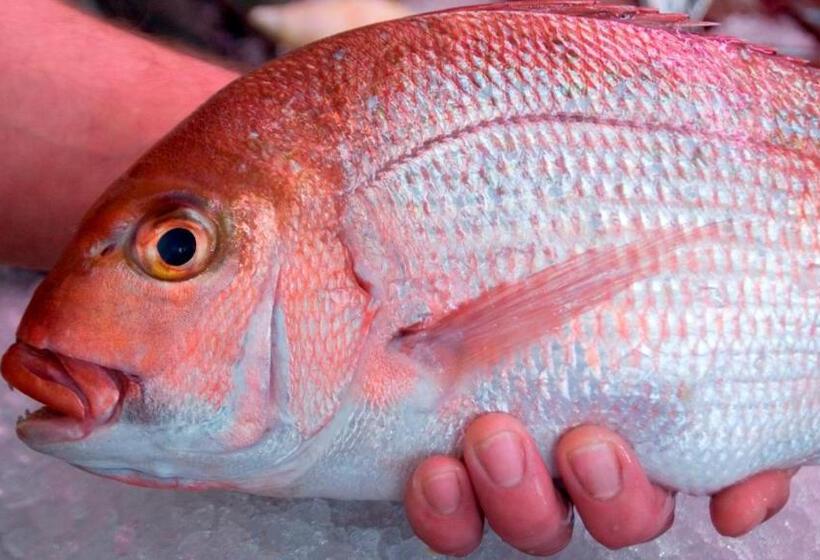 דירת חדר נוף לים, Mollymook Beach Waterfront