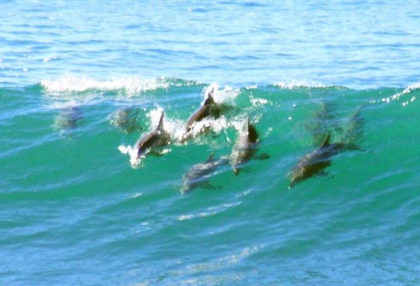 דירת חדר נוף לים, Mollymook Beach Waterfront