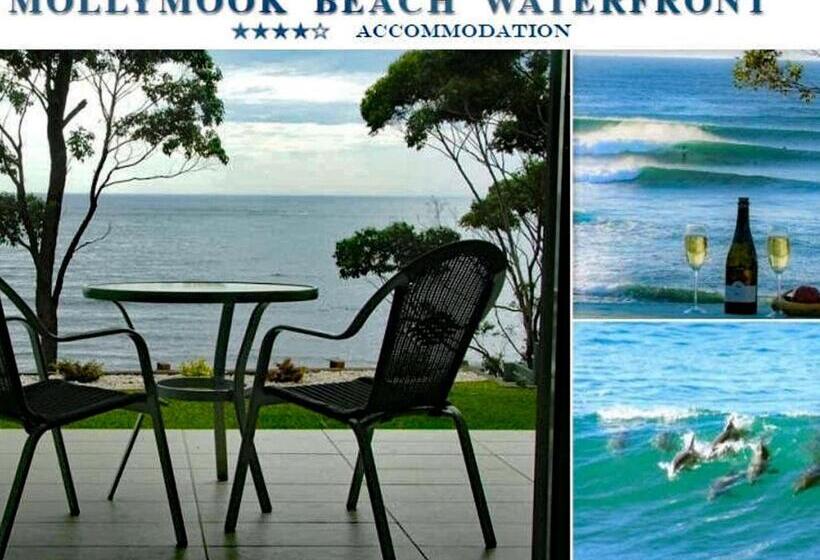침실 1개 바다 전망 아파트, Mollymook Beach Waterfront