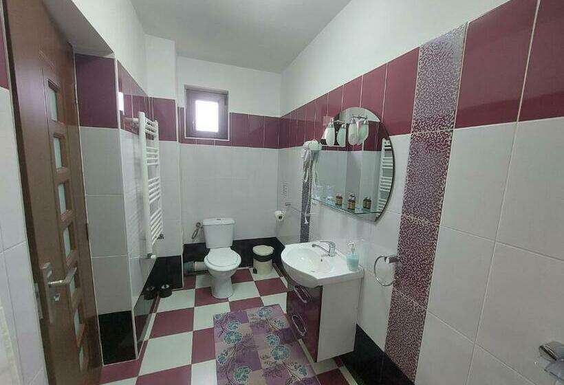 キングサイズベッドのスーペリアルーム, Fulg De Nea