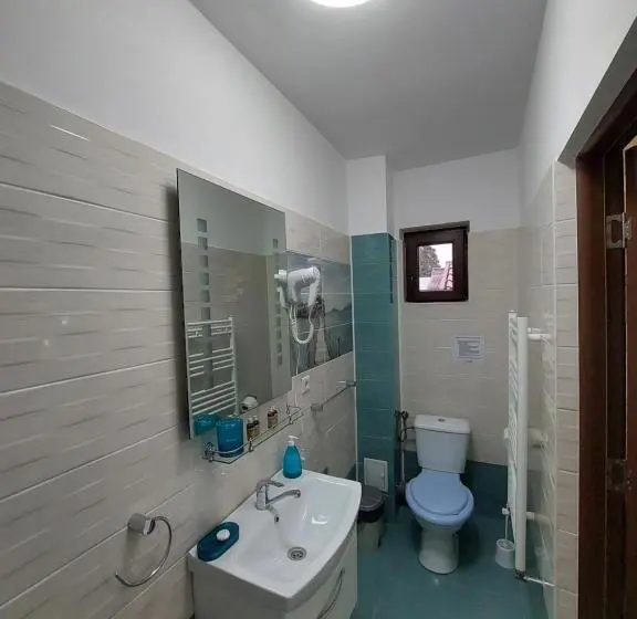اتاق استاندارد با تخت بزرگ, Fulg De Nea