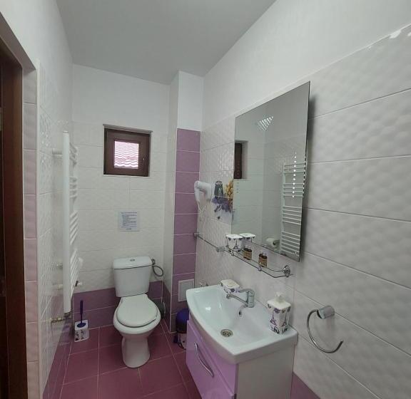 キングサイズベッドのスタンダードルーム, Fulg De Nea