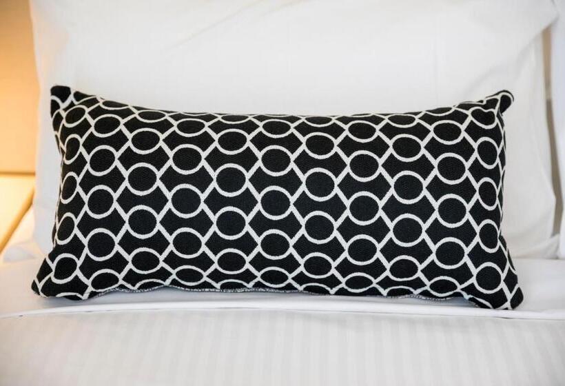 ファミリーステューディオ, Nightcap At Finsbury