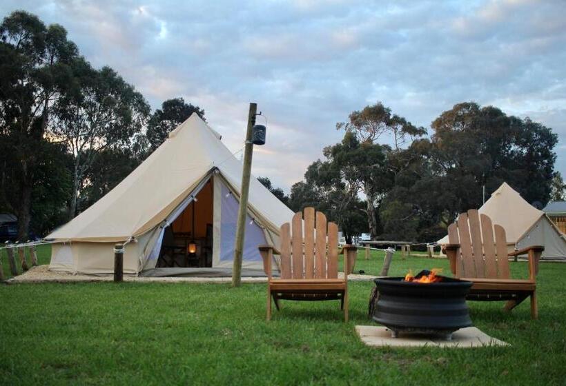 Standard Tent, Pine Country Caravan Park