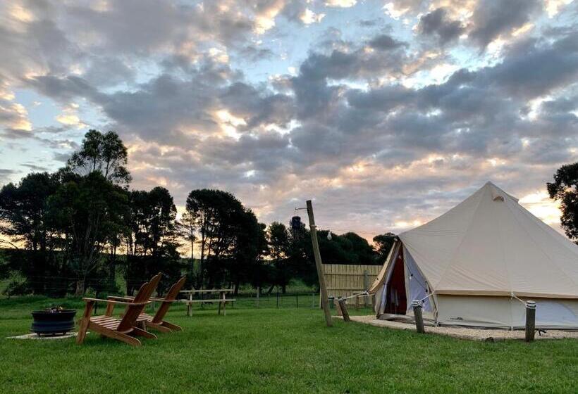 Standard Tent, Pine Country Caravan Park