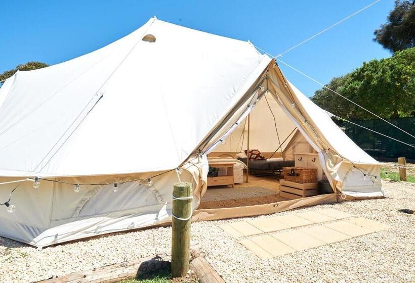 Standard Tent, Pine Country Caravan Park