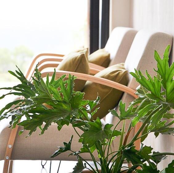 וילת חדר שינה 1 עם נוף לים, Blackbird Luxury Accommodation