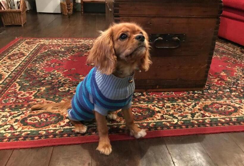 标准间, Dingup House