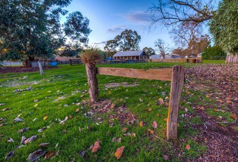 标准间, Dingup House