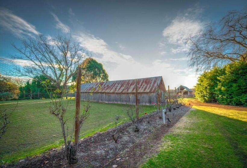 スタンダードルーム, Dingup House