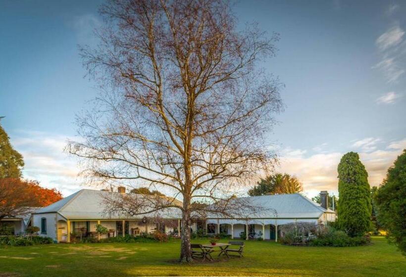 スタンダードトリプルルーム, Dingup House