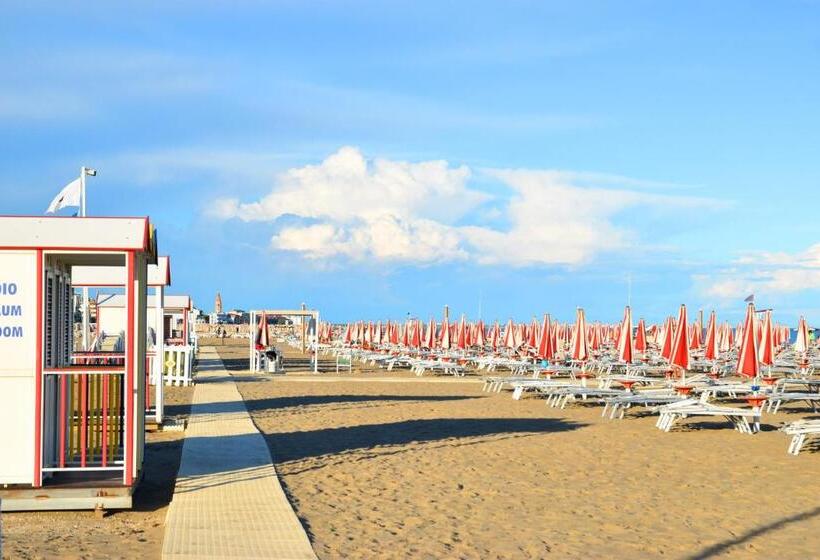 스탠다드 룸, Zanin