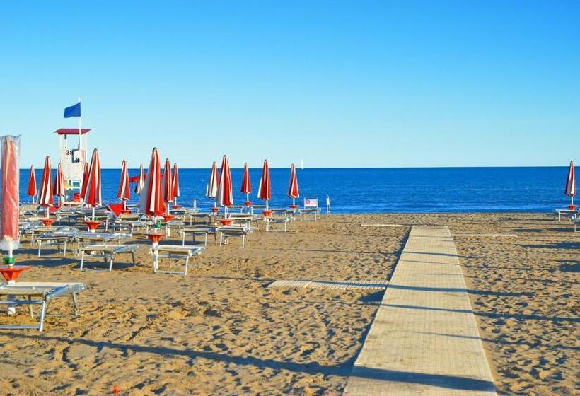 스탠다드 룸, Zanin