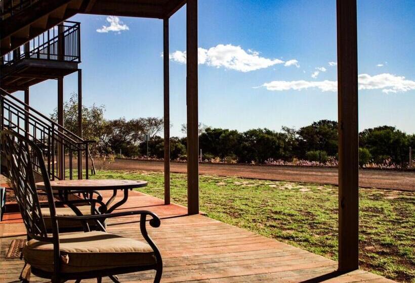 اتاق استاندارد, Oasis Newman