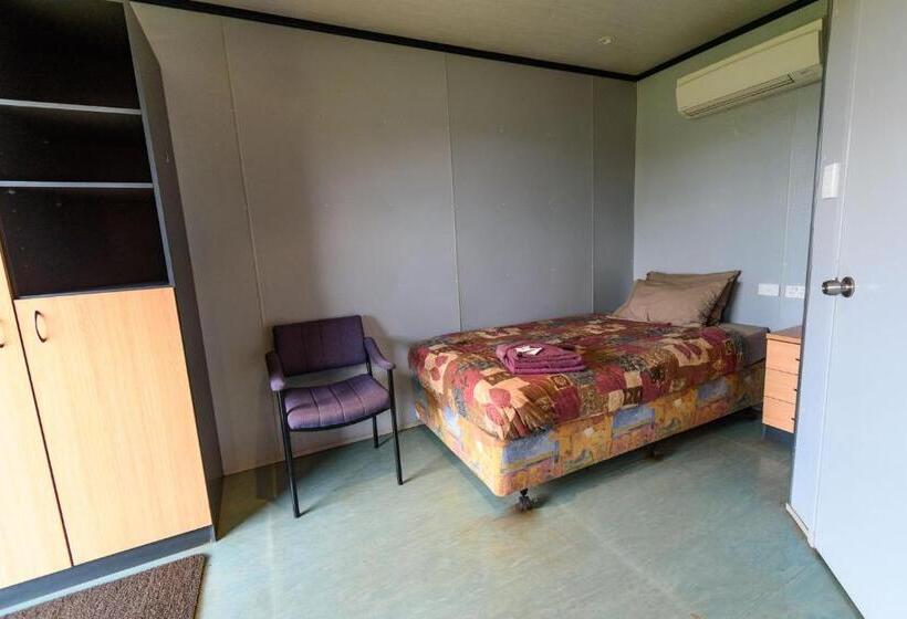 اتاق سوپریور یک تخته, Oasis Newman