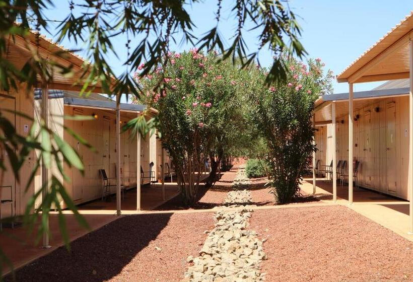 اتاق استاندارد, Oasis Newman