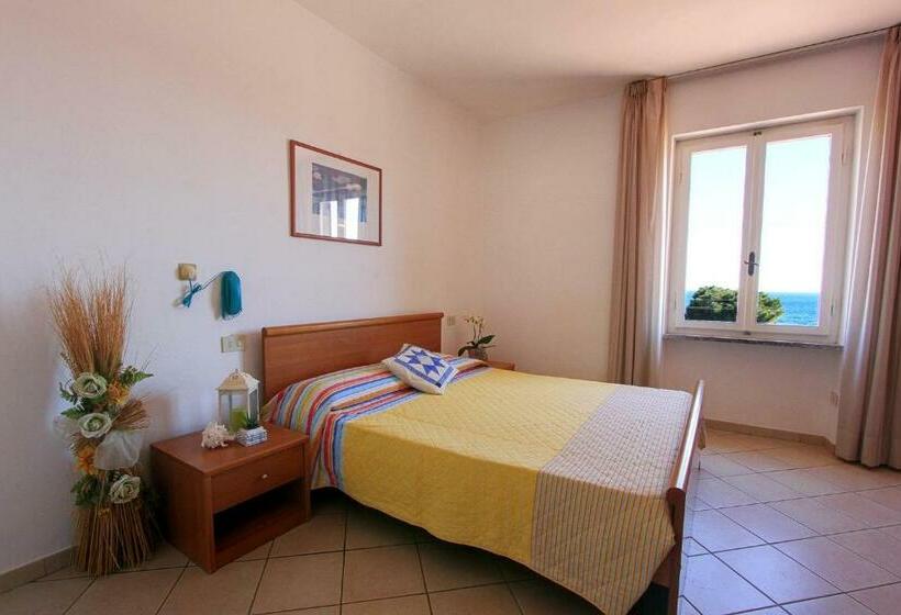 Номер Стандарт, Holiday Bambù