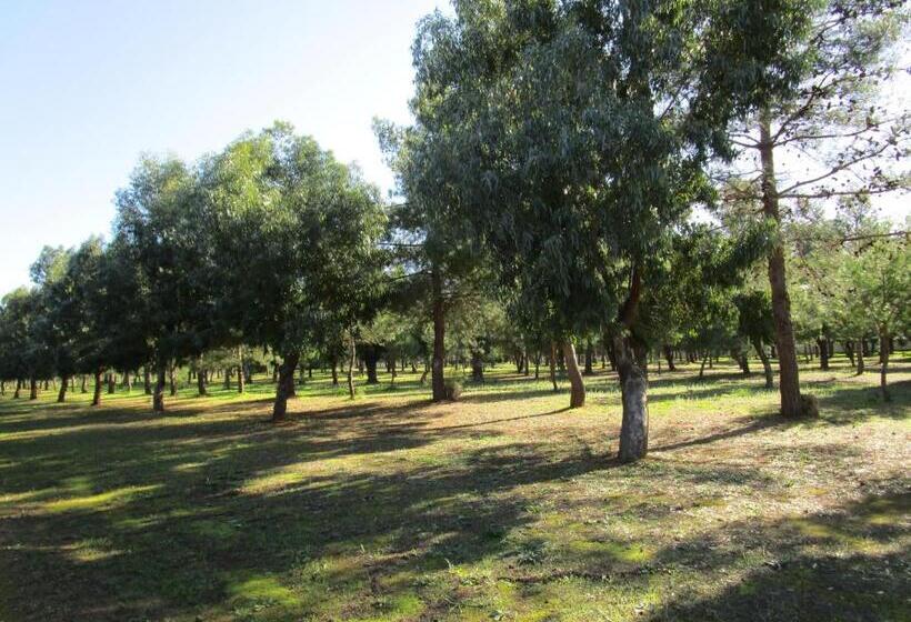 スタンダードスタジオ, Villa Maria