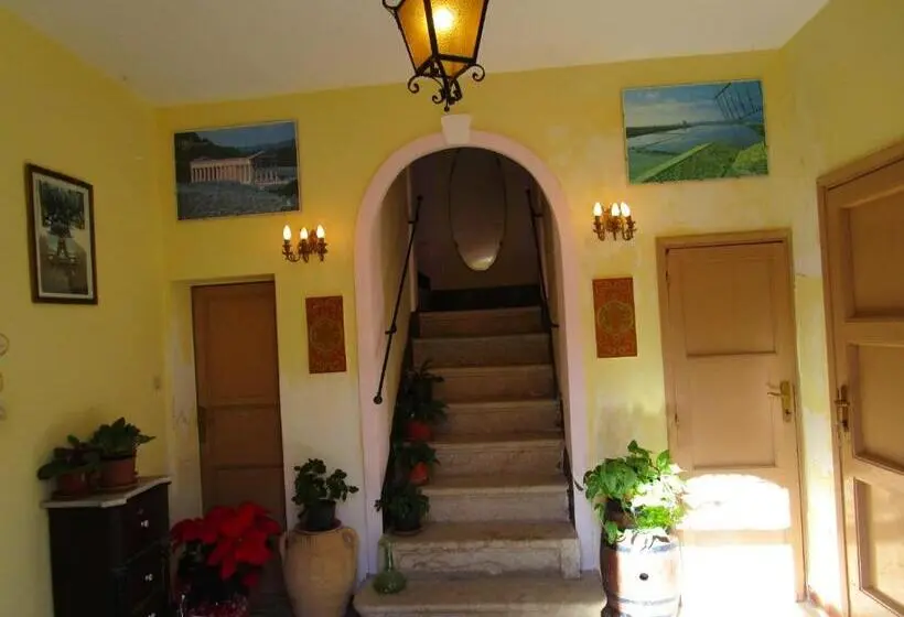 スタンダードスタジオ, Villa Maria