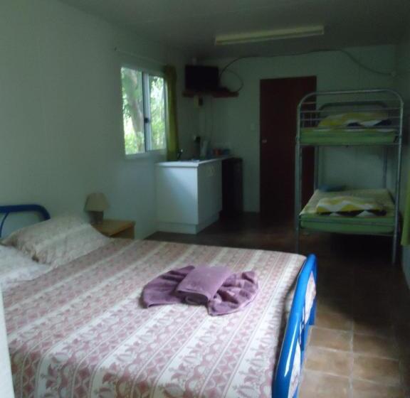 סטודיו משפחתי, Pandanus On Litchfield